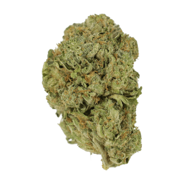 Super Blue Dream | Herbal Dispatch Canada