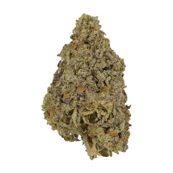 Frosty Gelato | Herbal Dispatch Canada