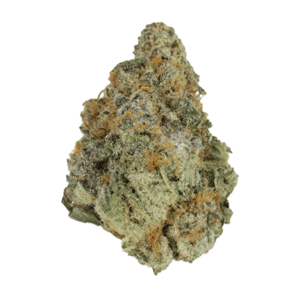 Purple Hindu Kush | Herbal Dispatch Canada