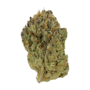 Blueberry Muffin | Herbal Dispatch Canada