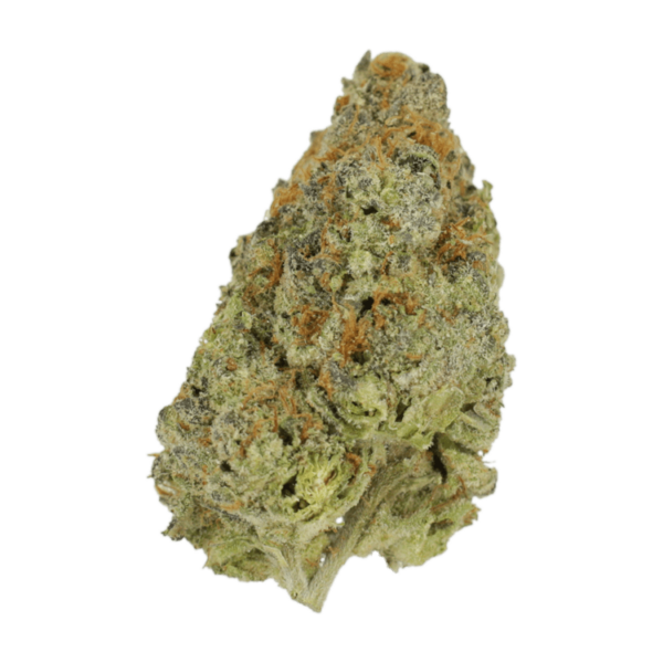 Lilac Diesel | Herbal Dispatch Canada