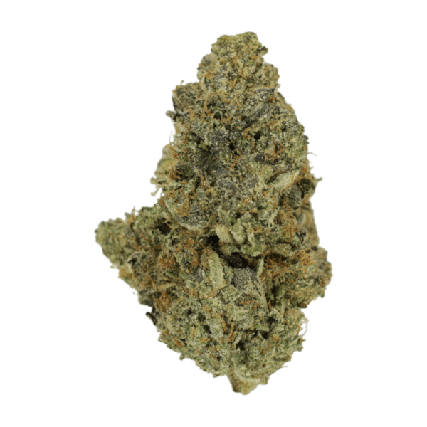 Purple Urkle | Herbal Dispatch Canada