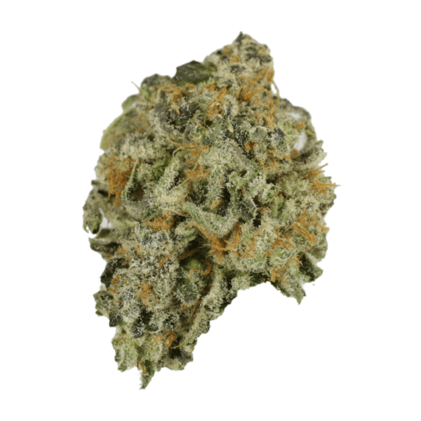 Alien Rock Candy | Herbal Dispatch Canada