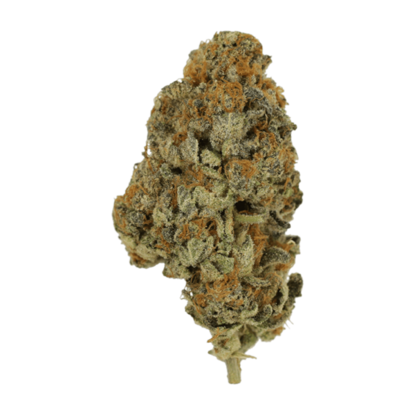 Key Lime Pie | Herbal Dispatch Canada