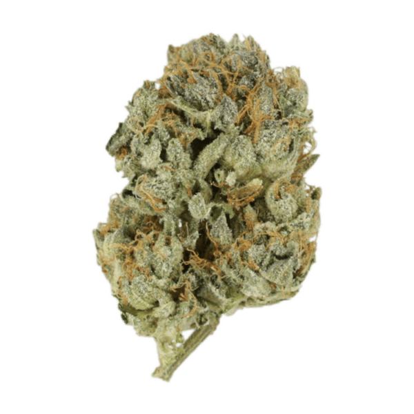 Kashmir Kush | Herbal Dispatch Canada