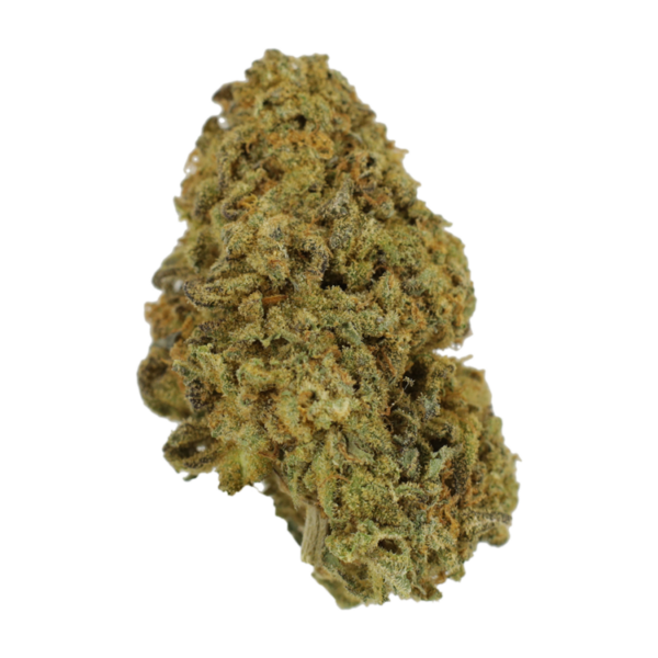 Lemon Thai | Herbal Dispatch Canada