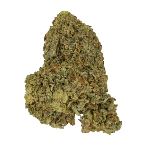 Gorilla Berries | Herbal Dispatch Canada