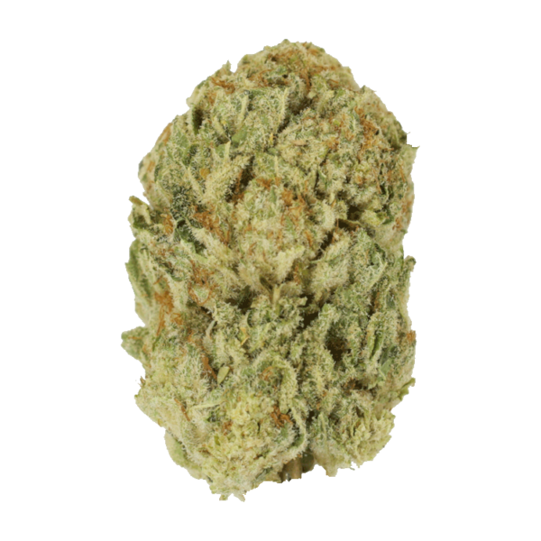 Trap Star | Herbal Dispatch Canada
