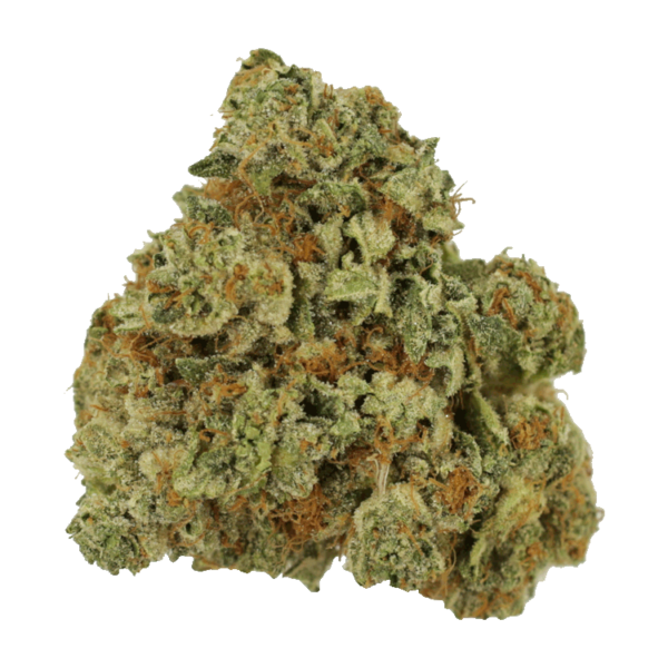 Laughing Gas | Herbal Dispatch Canada