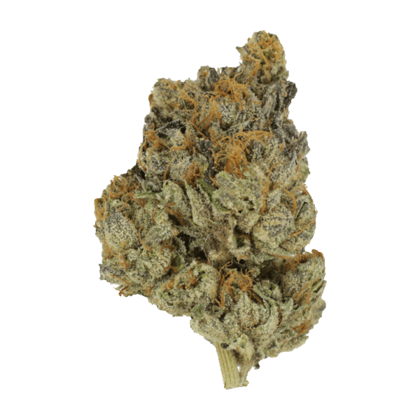 Divorce Cake | Herbal Dispatch Canada