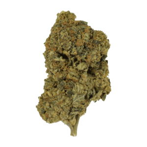 Cherry Punch | Herbal Dispatch Canada