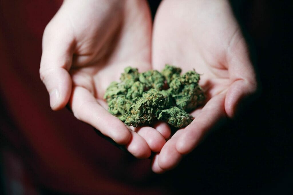 Best dispensary in canada | Herbal Dispatch Canada
