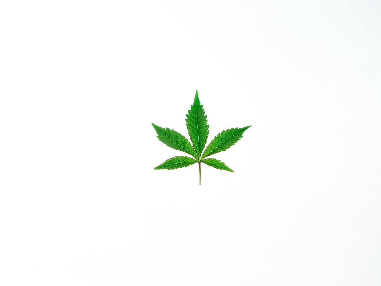 Benefits of Shopping in a BC cannabis Online Dispensary | Herbal Dispatch Canada