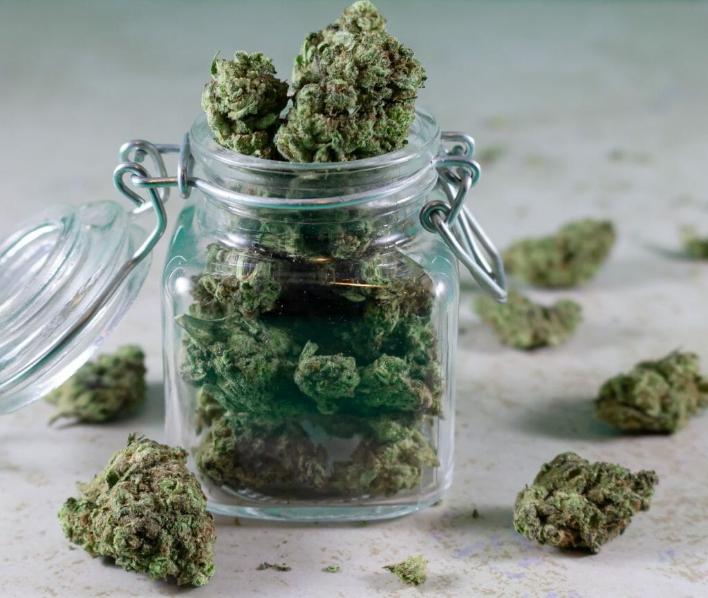 Bulk Weed: Unlocking the Power of Wholesale Cannabis | Herbal Dispatch Canada | Herbal Dispatch Canada