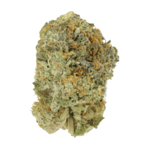 Slurricane | Herbal Dispatch Canada