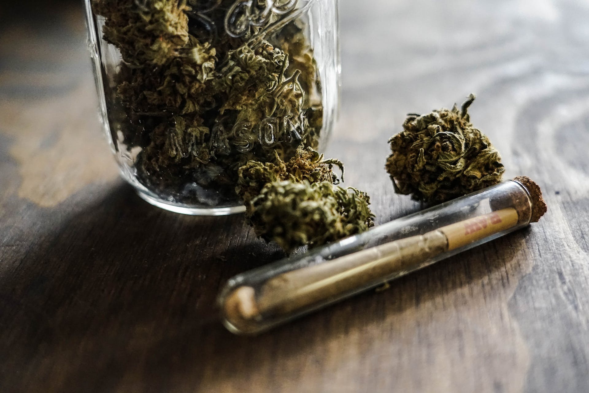 | Herbal Dispatch Canada Buy cannabis Online | Herbal Dispatch Canada