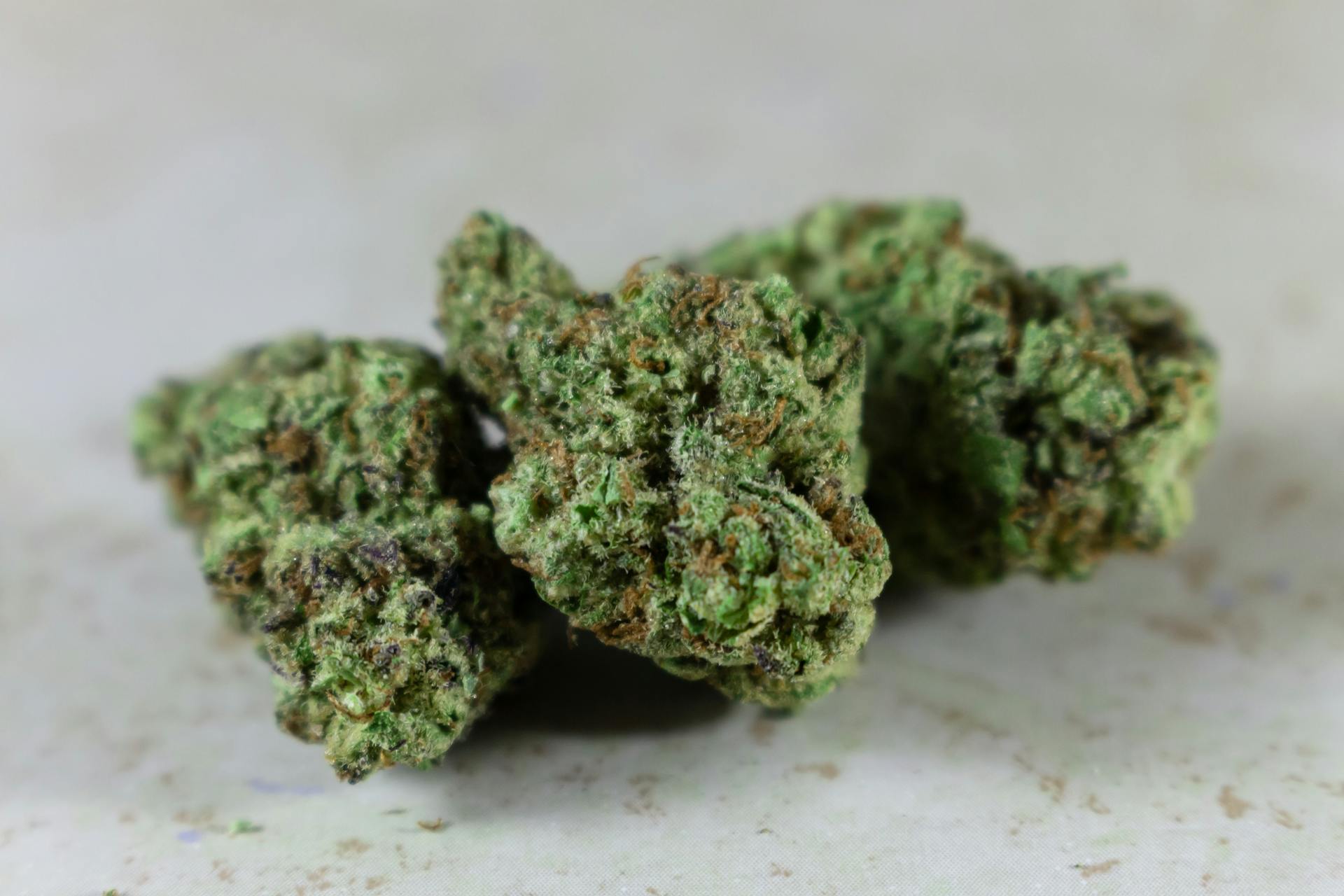 | Herbal Dispatch Canada Best Indica Online in Canada | Herbal Dispatch Canada