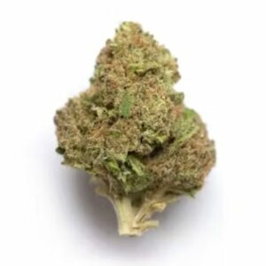 Supersonic | Herbal Dispatch Canada