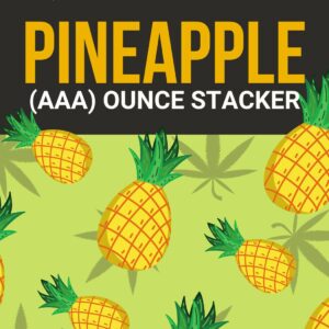 Pineapple 1 OZ Kit | Herbal Dispatch Canada